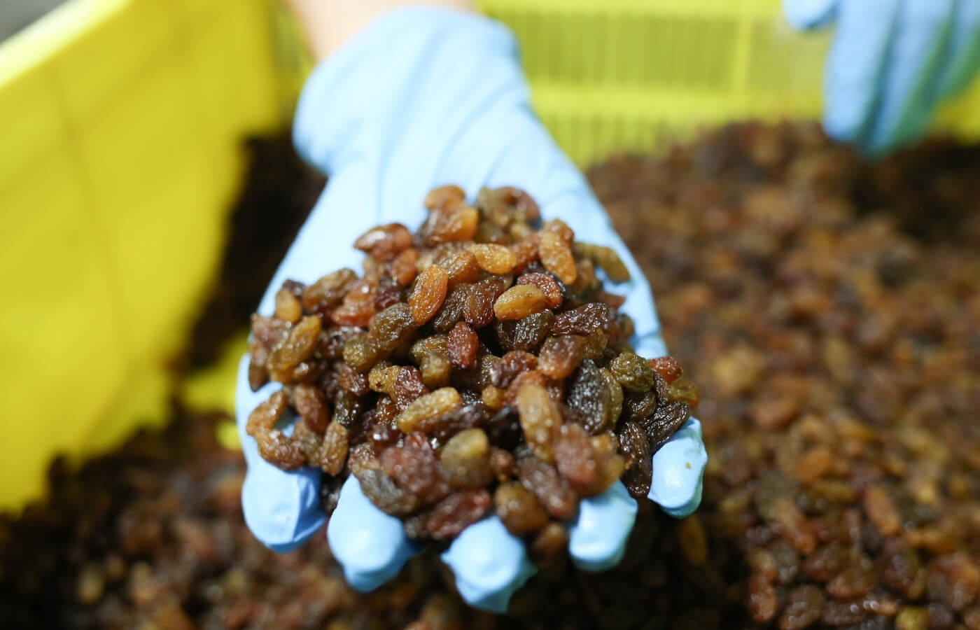 Our Raisins - VDC Raisins (Pty) Ltd