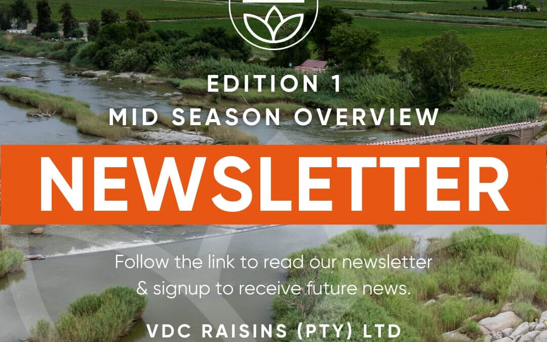 Edition 1 Season Update
