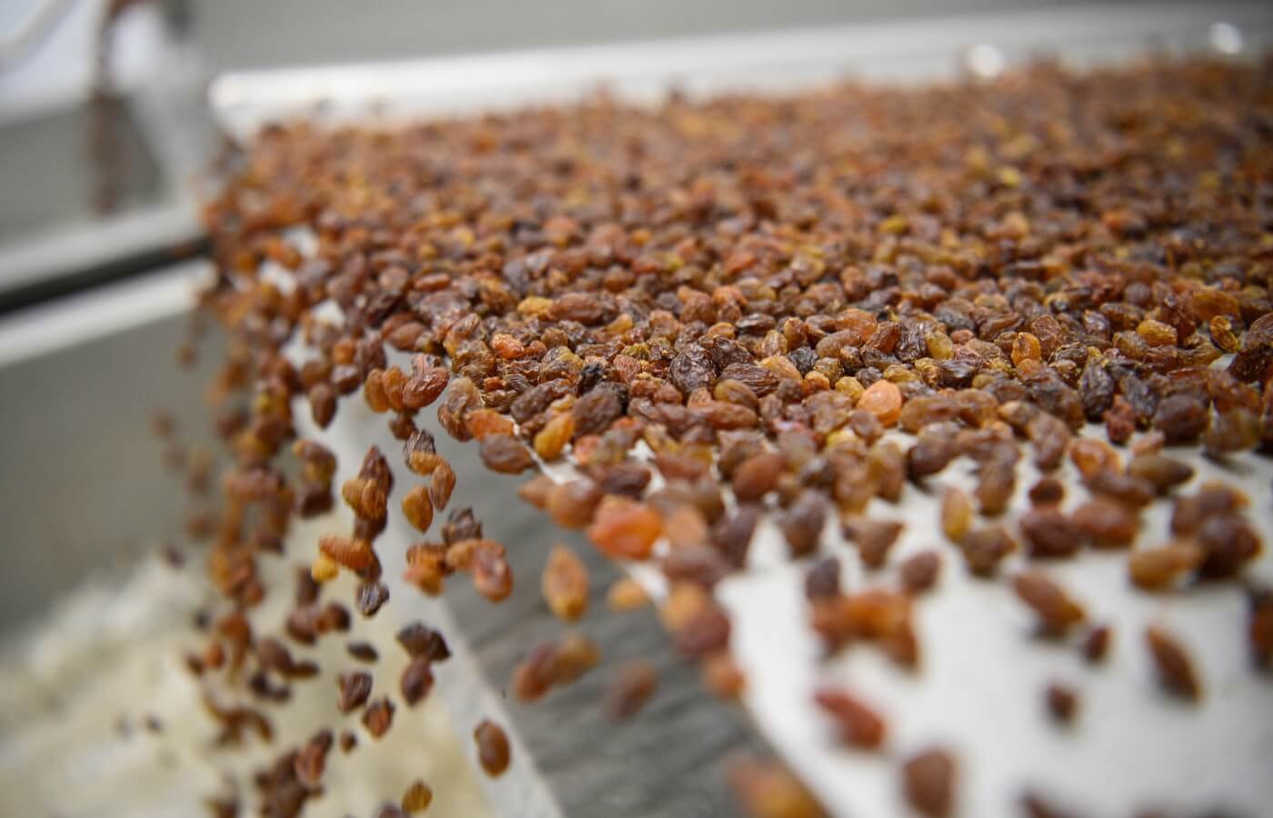 vdc raisins | organic | conventional | proudly south African | agricultural | green kalahari | upington | northern cape | export | procsesing | Dried on the vine | dov | raisin production | grape | vineyard | farming | quality | Orange River | Van der Colff | Vine fruit | Grower-packer |